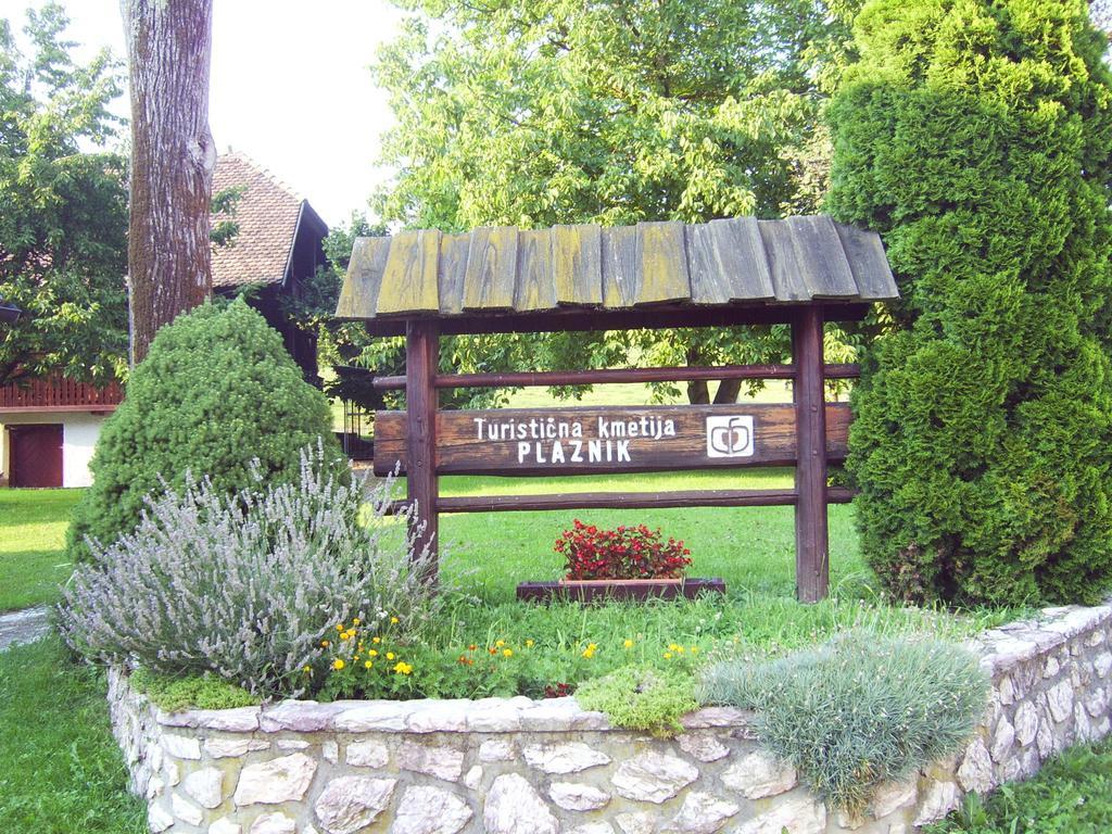 Guest House Turisticna Kmetija Plaznik Ljubno Exteriör bild