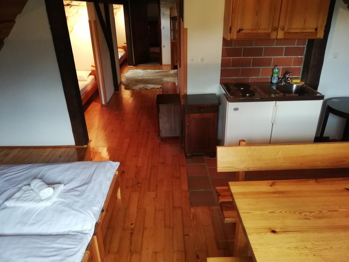 Guest House Turisticna Kmetija Plaznik Ljubno Exteriör bild