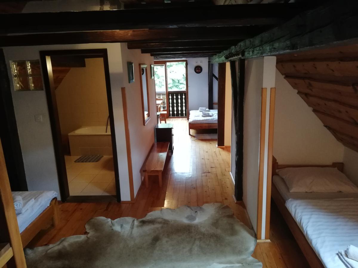 Guest House Turisticna Kmetija Plaznik Ljubno Exteriör bild